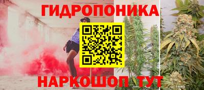 a pvp Краснознаменск