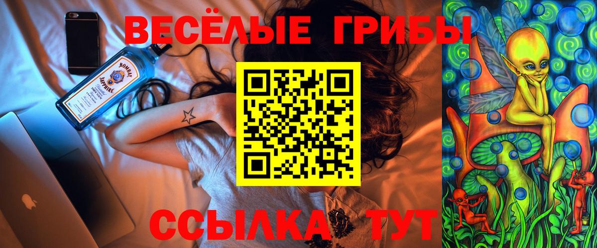 Галлюциногенные грибы ЛСД Чайковский