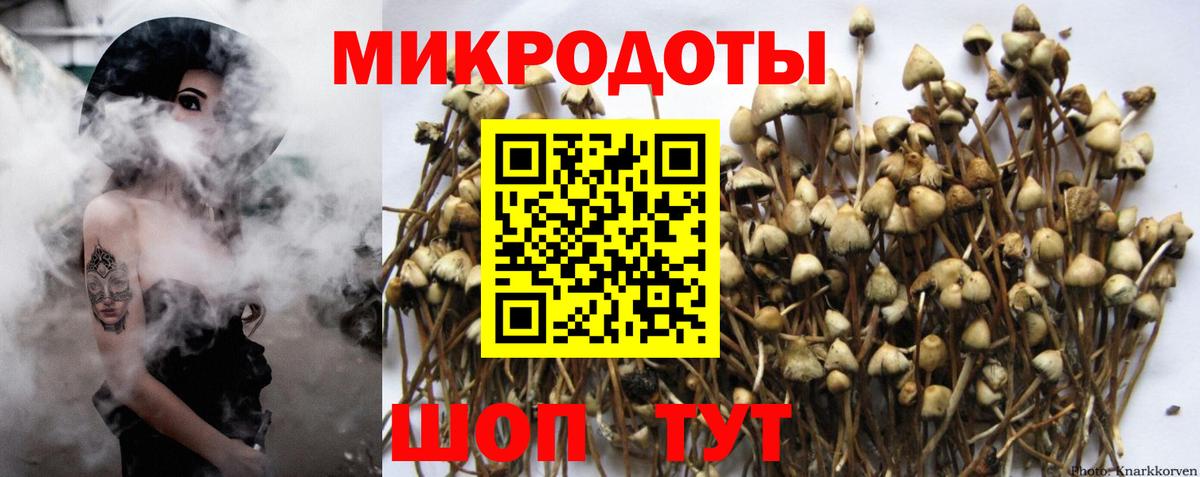 где найти наркотики  Галлюциногенные грибы Psilocybe  Вход с VPN  Чайковский 